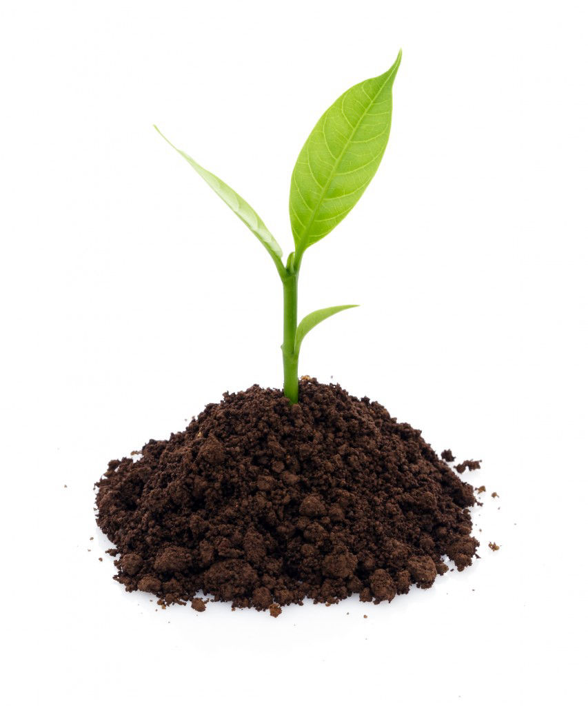 Agence Christophe Raoul