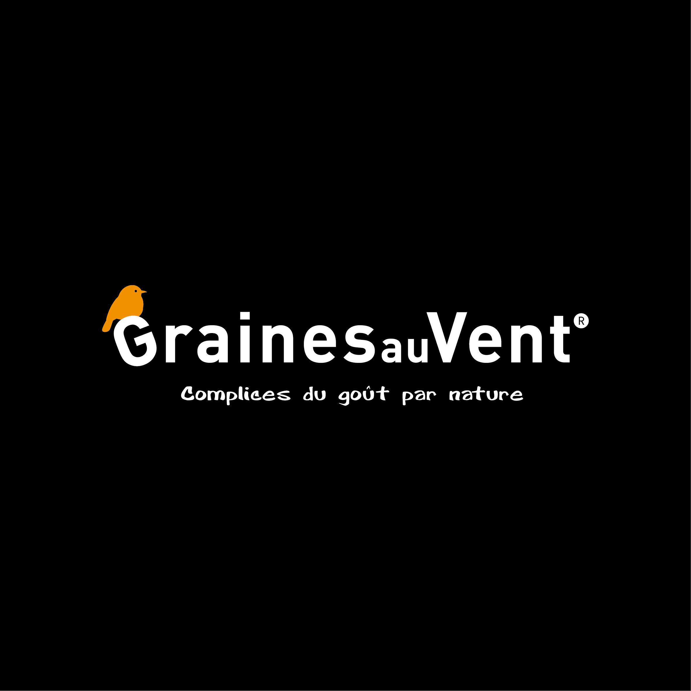 logo graines au vent