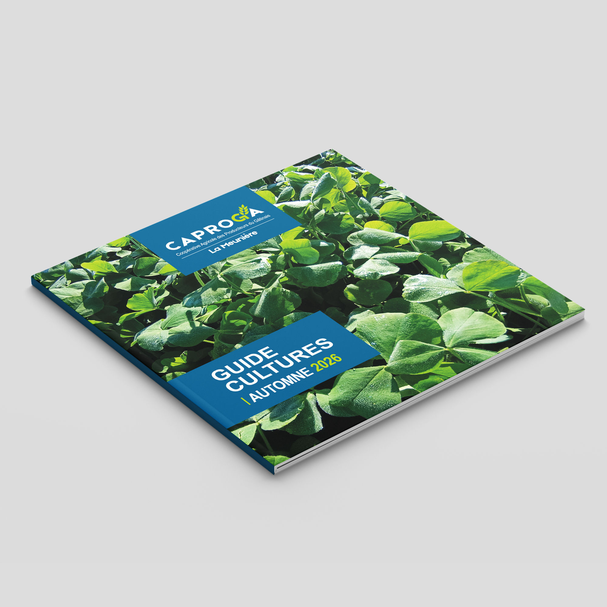 guide caproga automne 2026