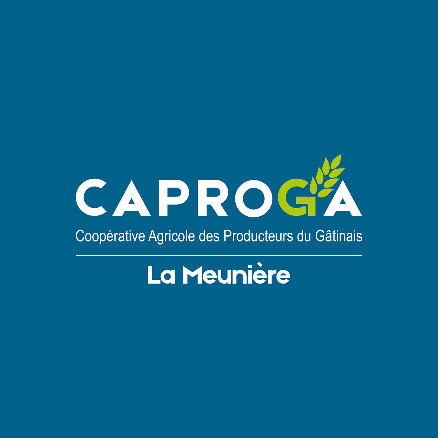 logo caproga