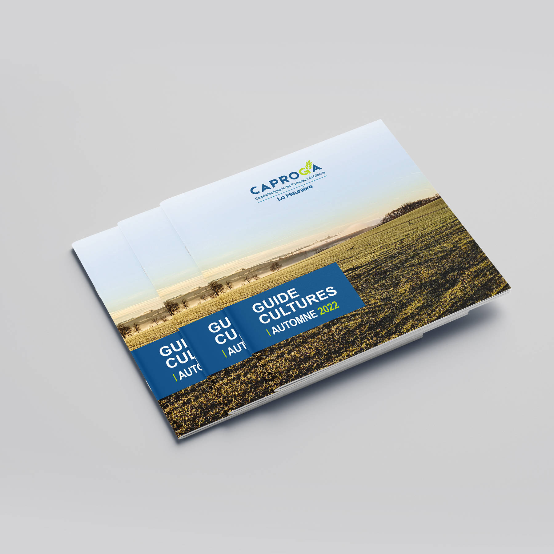 Agence Christophe Raoul