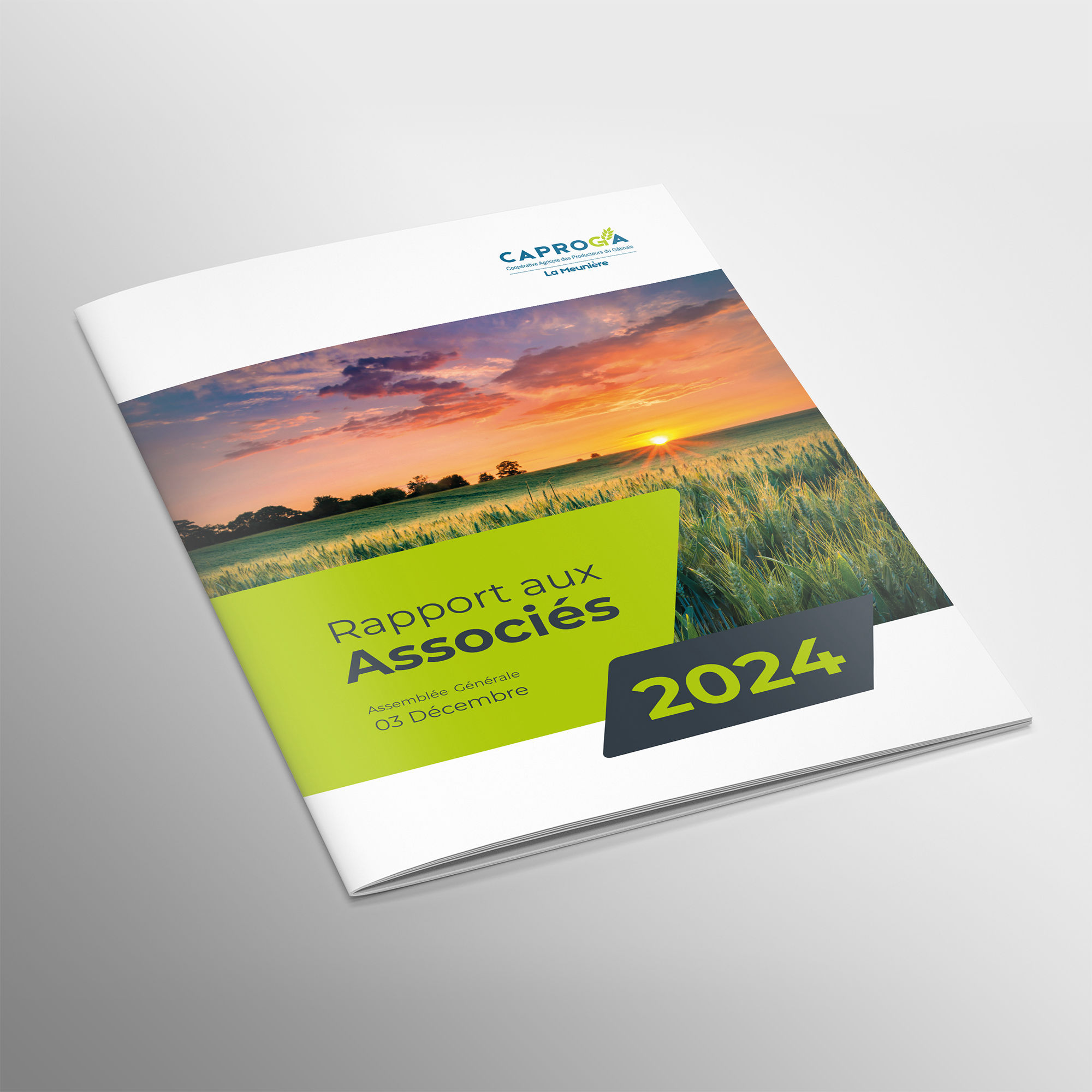 Rapport CAPROGA 2024