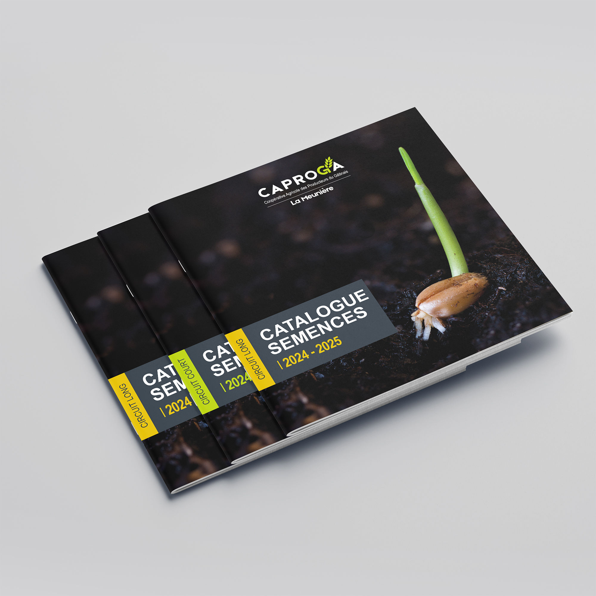 affiche fête de l'Europe Amilly