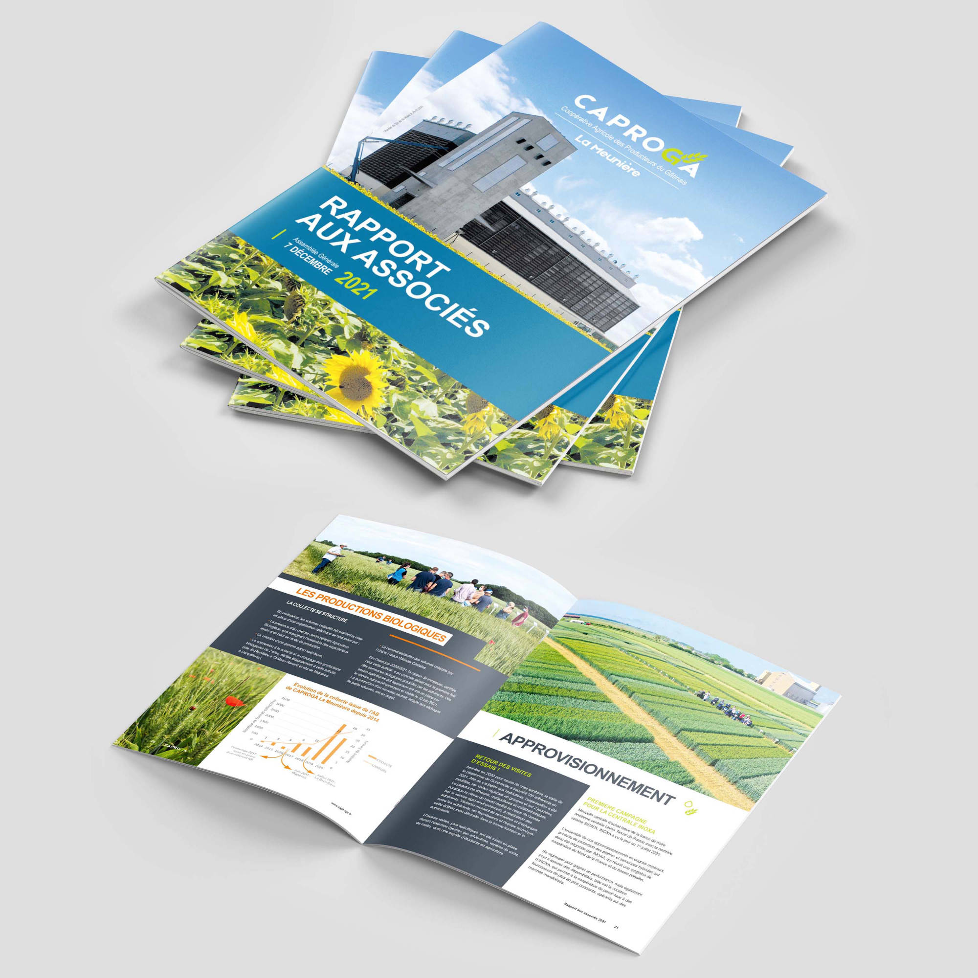 rapport caproga 2021